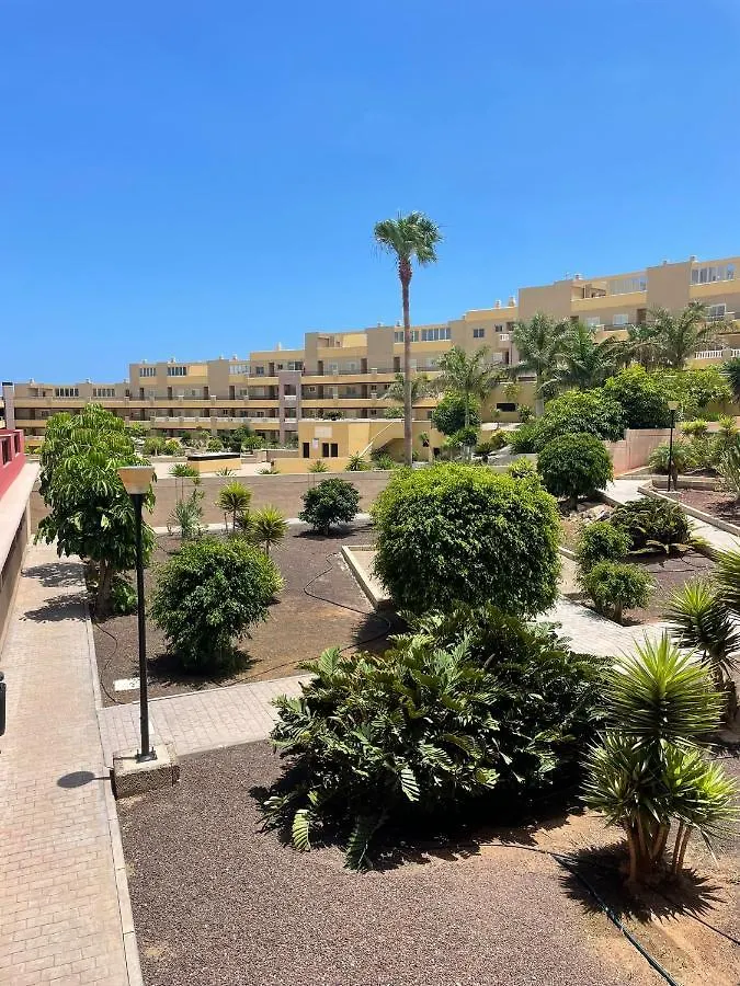 Apartment Medano Tenerife El Medano